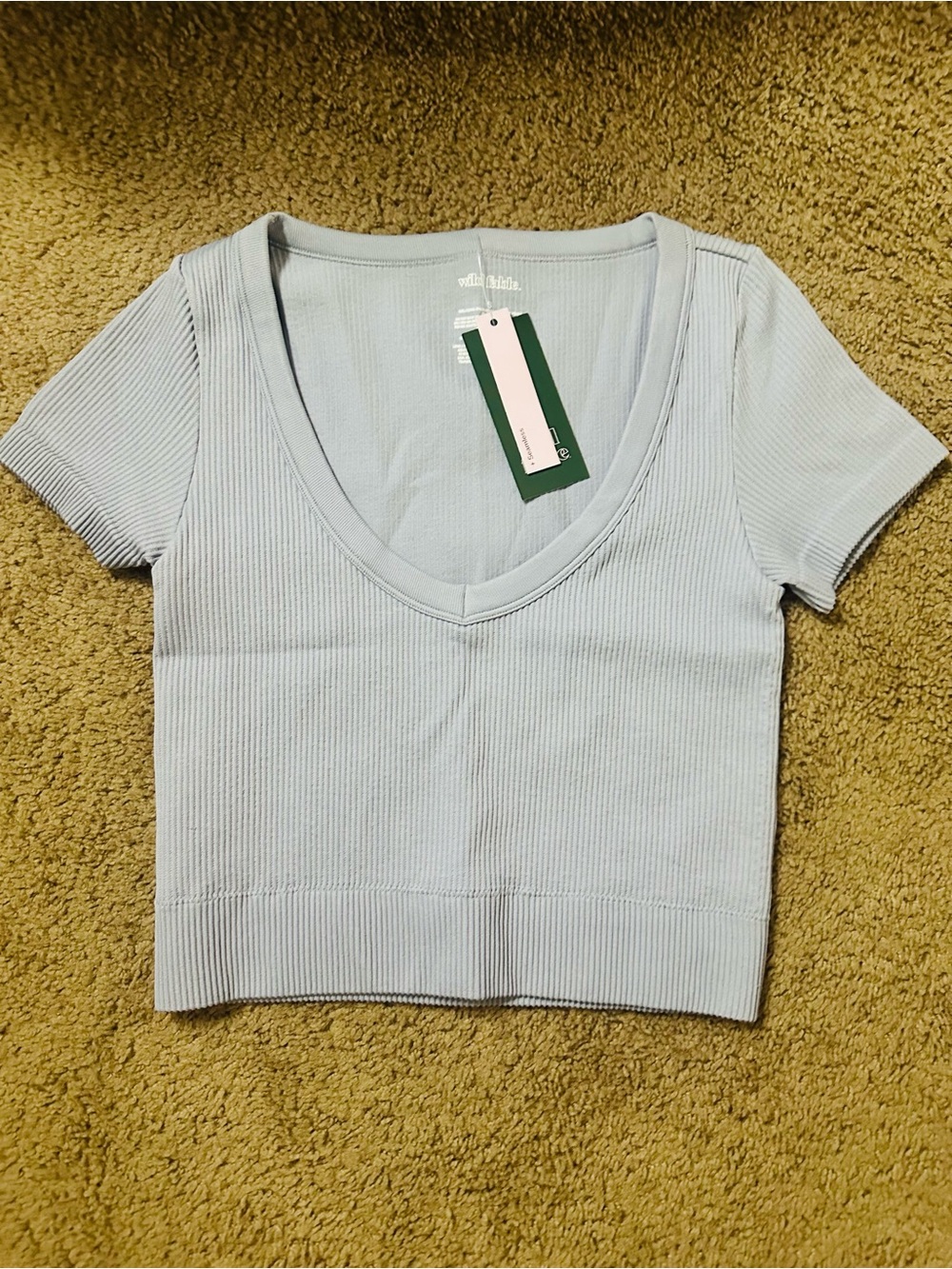 Wild Fable Pale Blue Ribbed V-Neck Crop Tee